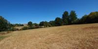 terrain à MIRAMONT DE GUYENNE (47800)