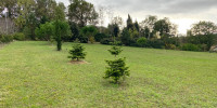 terrain à LAGARRIGUE (47190)